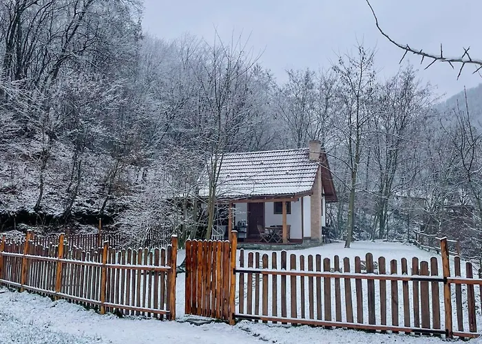 Explorers Dream - Transylvania
